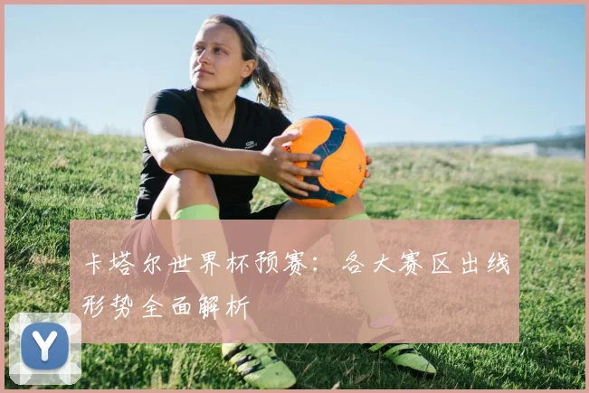 卡塔尔世界杯预赛：各大赛区出线形势全面解析