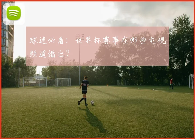 球迷必看:世界杯赛事在哪些电视频道播出?