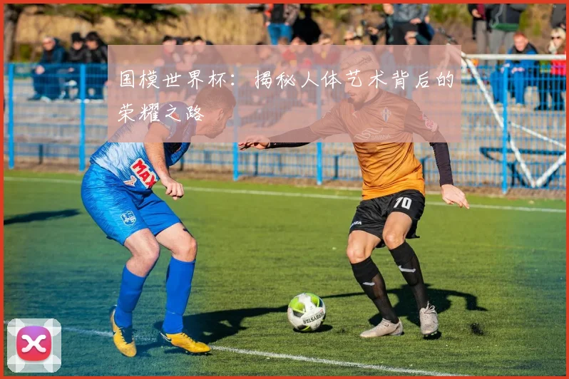 国模世界杯：揭秘人体艺术背后的荣耀之路
