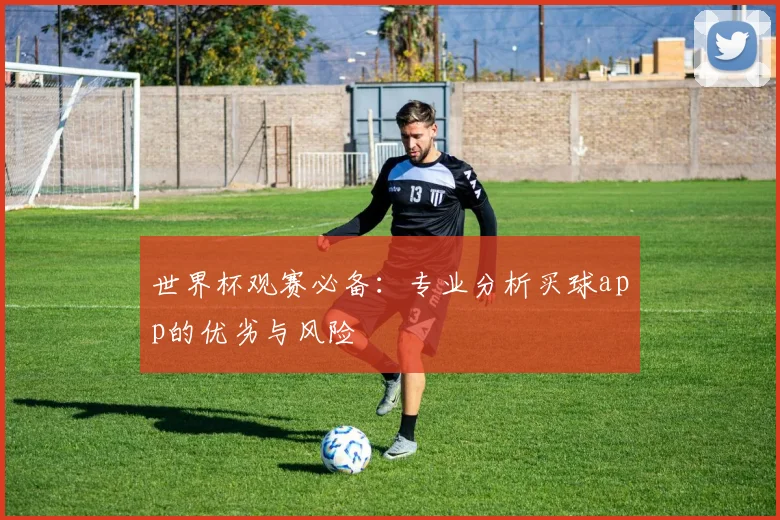 世界杯观赛必备:专业分析买球app的优劣与风险