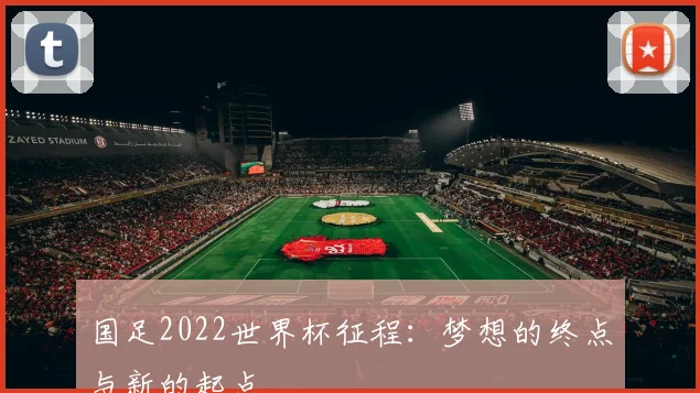 国足2022世界杯征程：梦想的终点与新的起点
