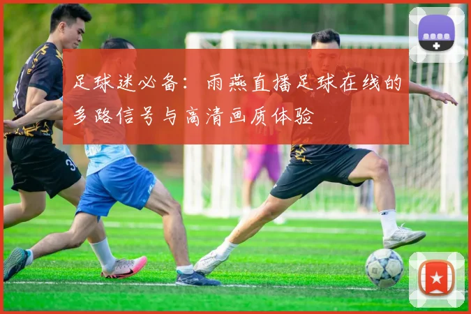 足球迷必备：雨燕直播足球在线的多路信号与高清画质体验